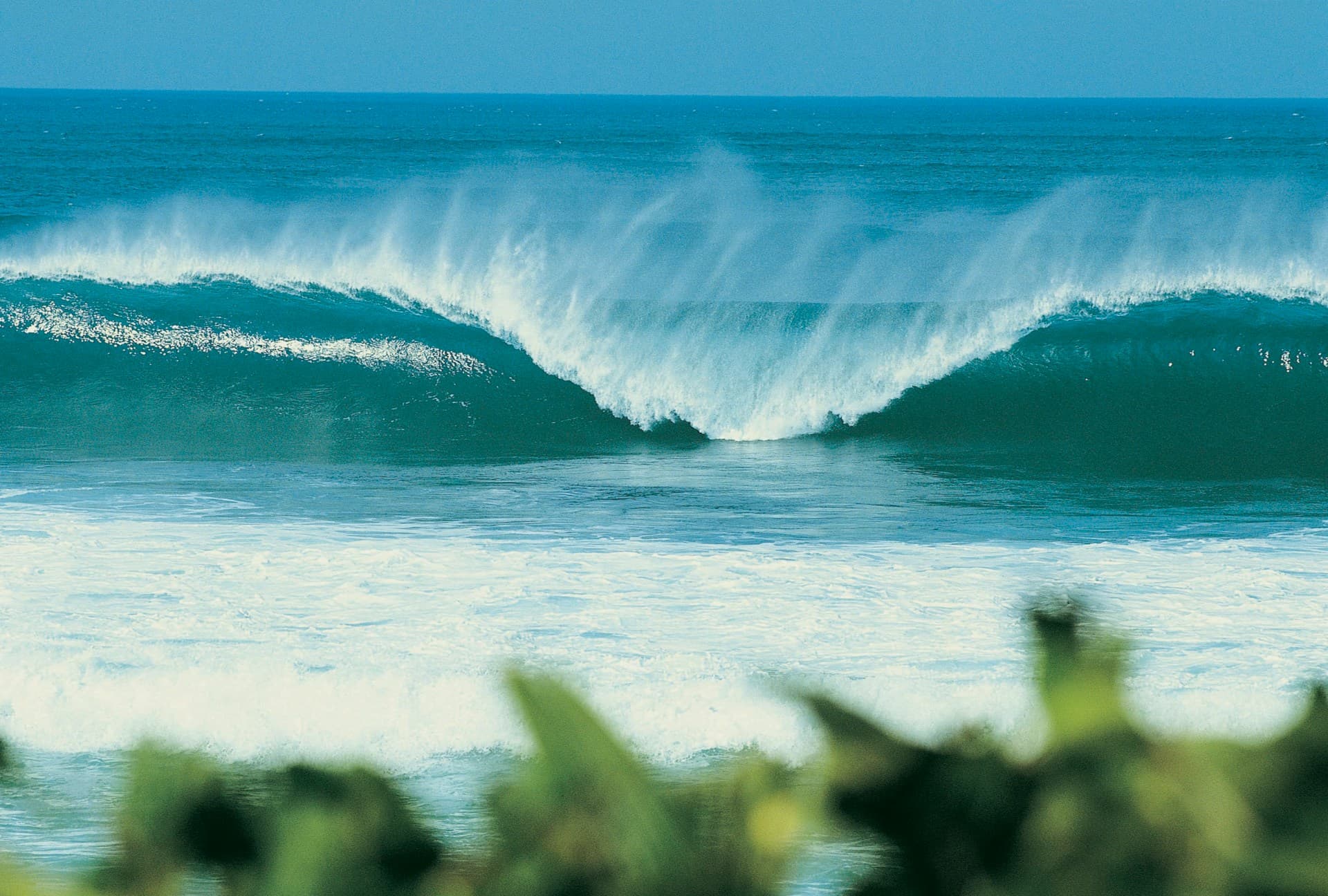 French Polynesia surfing