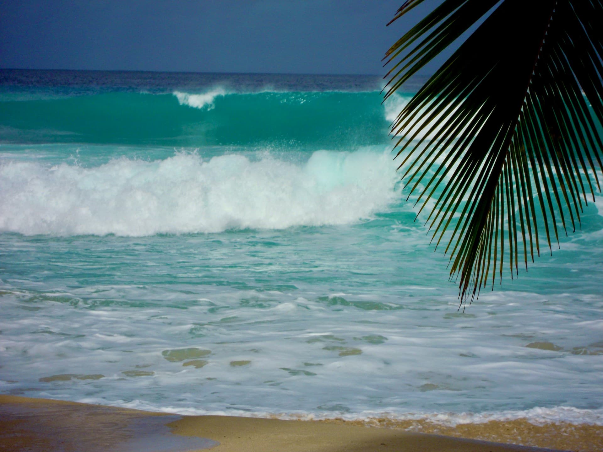 Barbados surfing