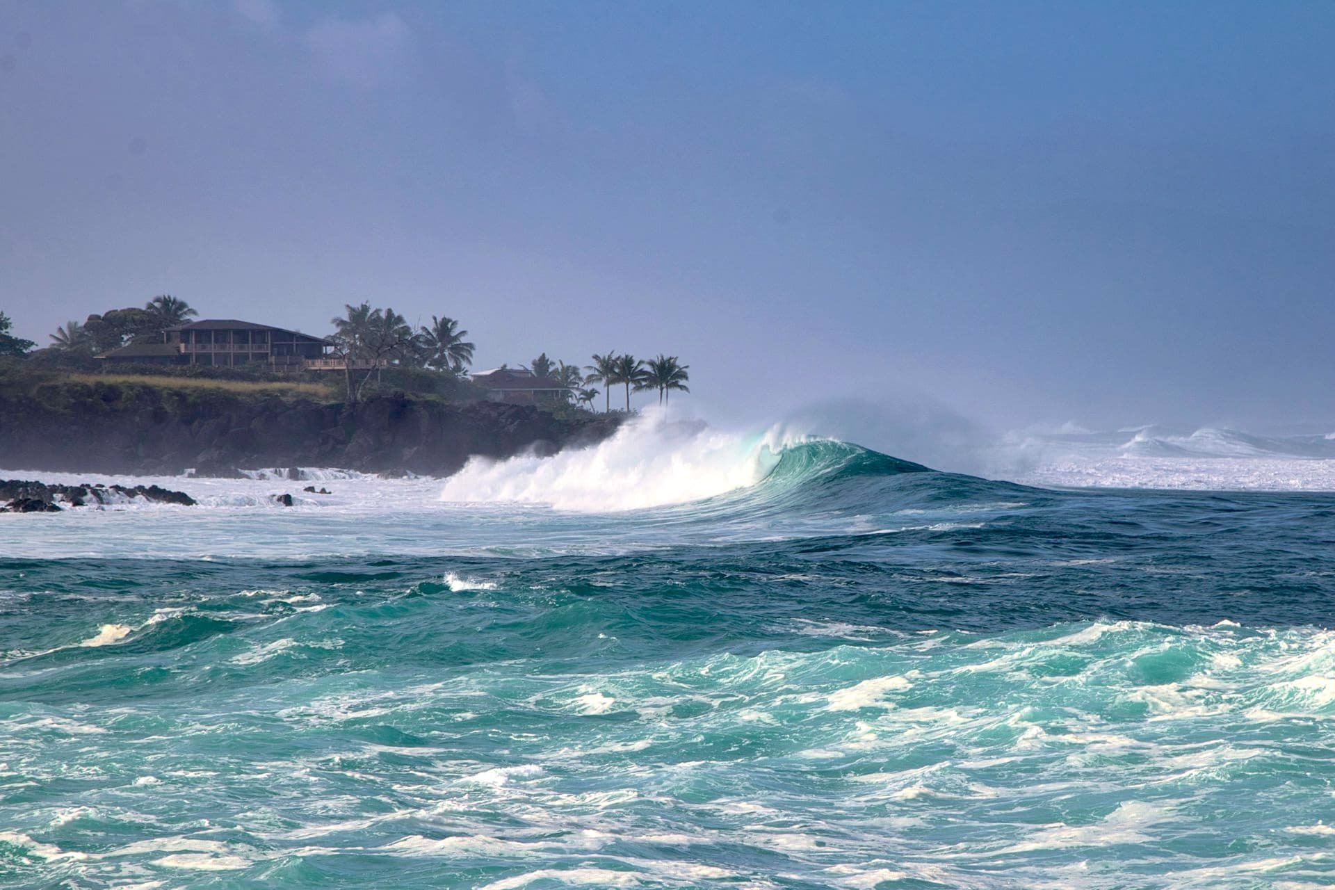 Hawaii surfing